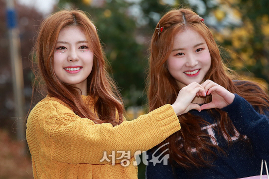 샌디 이미지