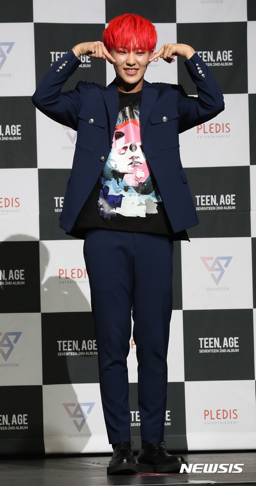호시 이미지