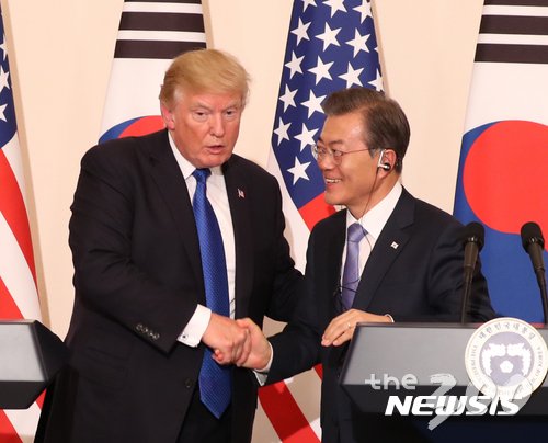 파란잎 이미지