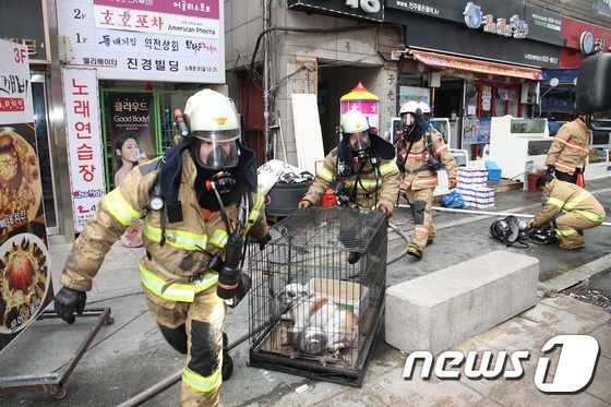 24일 오전 서울 노원구 노해로의 한 음식점 내부에서 발생한 화재 현장에서 소방대원들이 애완견을 구조하고 있다. (노원소방서 제공) 2016.12.24/뉴스1