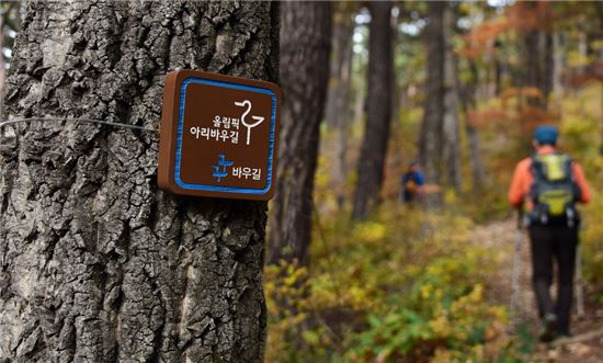 금빛바람 이미지