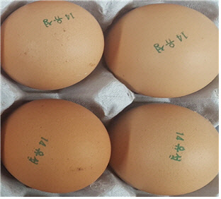 진일식품 이미지
