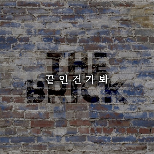 더브릭 이미지