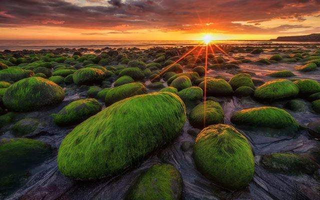 아이슬란드 해변의 초록빛 자갈들.