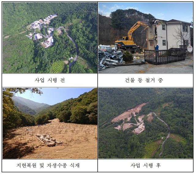 심원 이미지