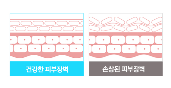 피부야 이미지