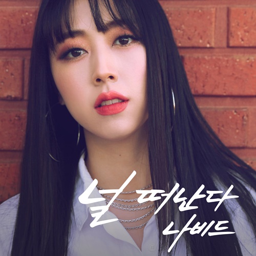 나비드 이미지