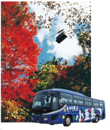 시마 이미지