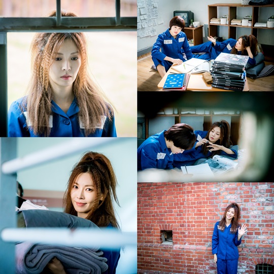 보그 이미지