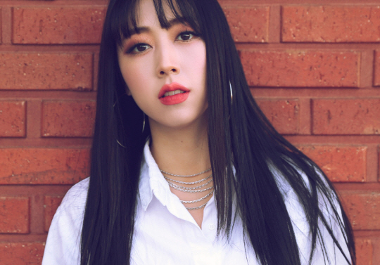 나비드 이미지