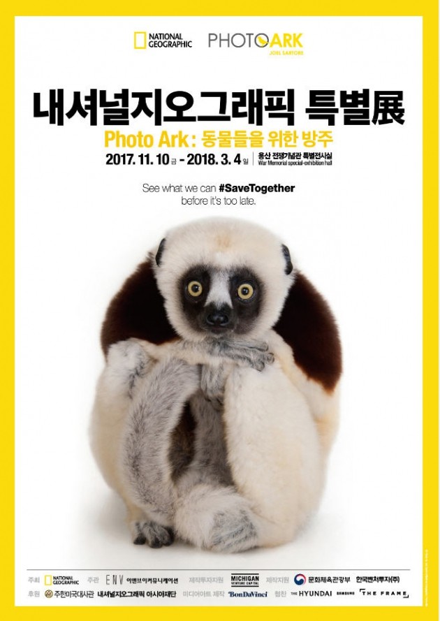 내셔널지오그래픽 이미지