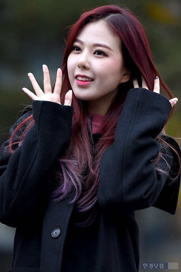 하이디 이미지