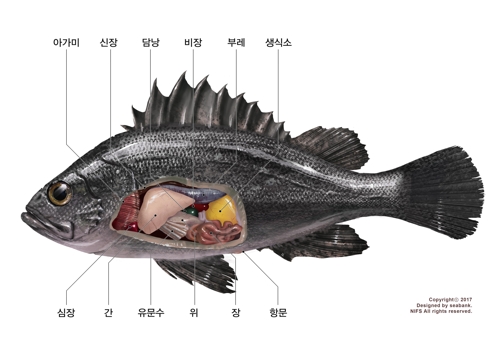 지중해수산 이미지
