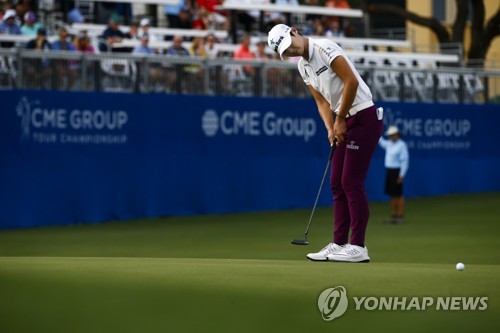 한국전관주 이미지