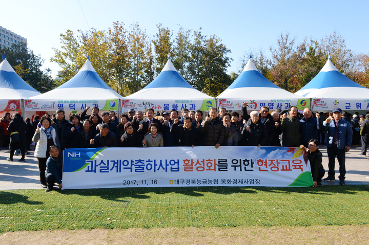 착한사과 이미지
