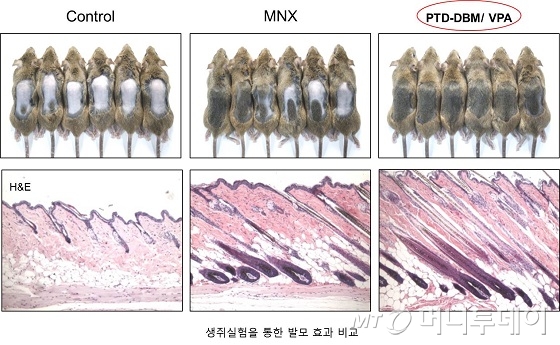 /사진제공=과기정통부