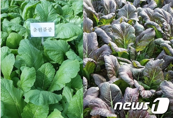 여수축산유통 이미지