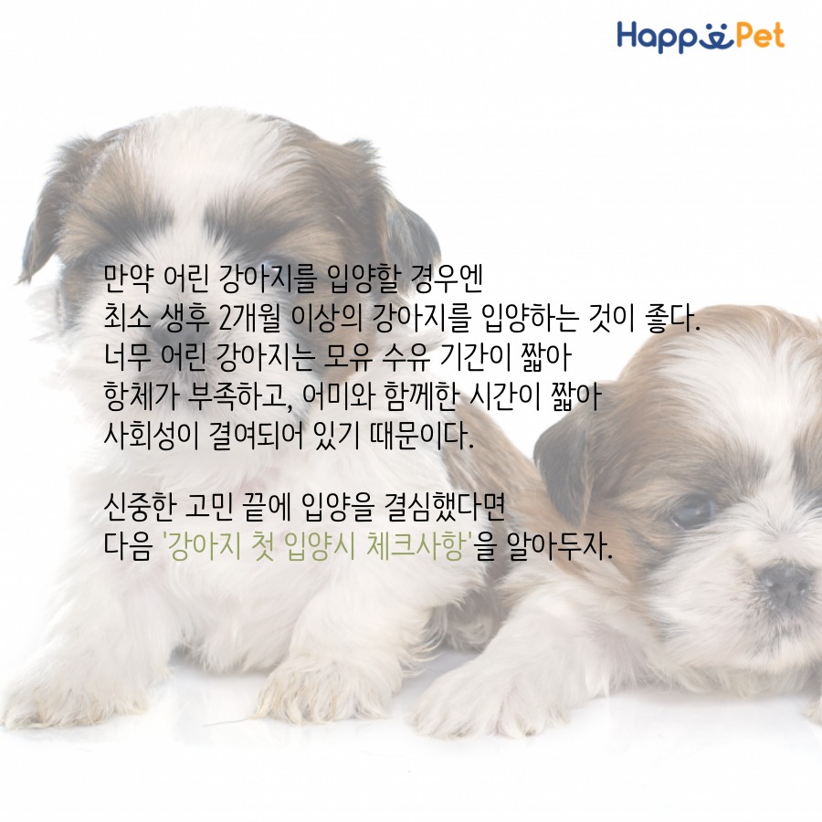 올어바웃펫 이미지