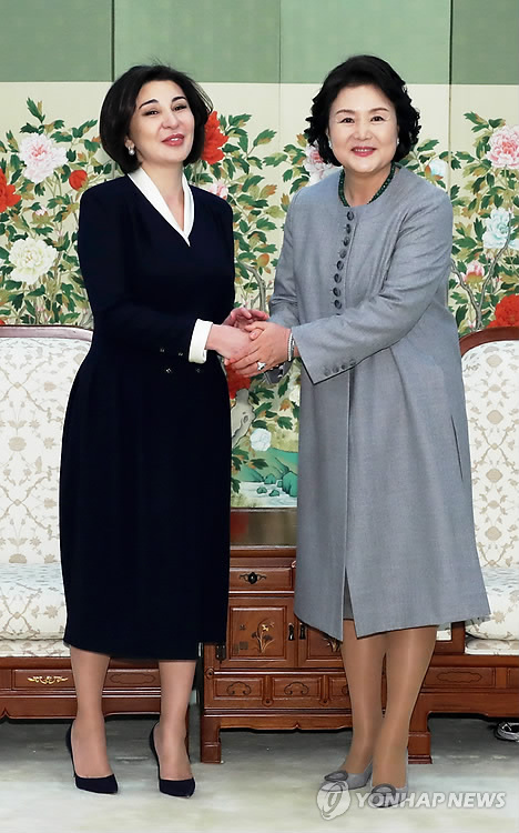 퍼스트 레이디 이미지