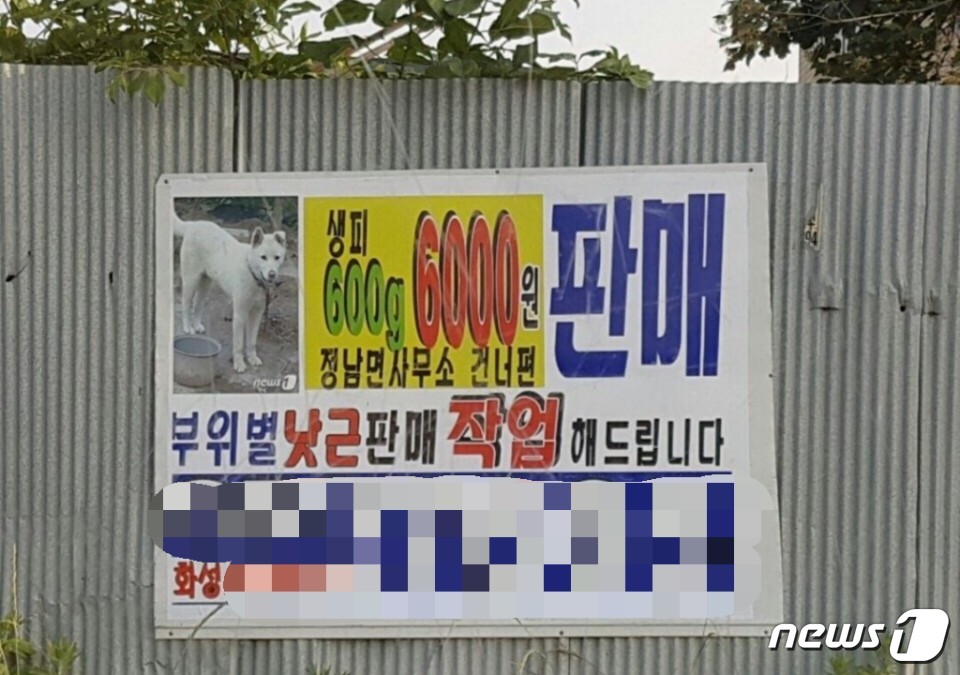 제니Lee리 이미지