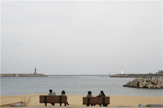 서해바다젓갈 이미지