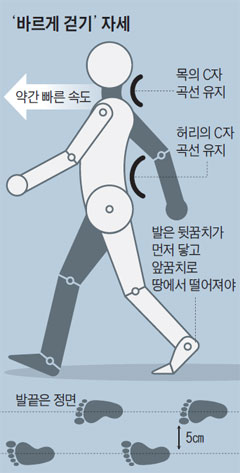 /그래픽=김현국 기자