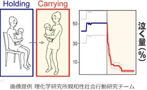 아기를 안고 앉았을 때와 서 있을 때 아기가 우는 양을 나타낸 그래프. 파란 색이 앉았을 때, 빨간 색은 서 있을 때[NHK 캡처]