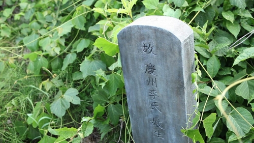 월하 이미지