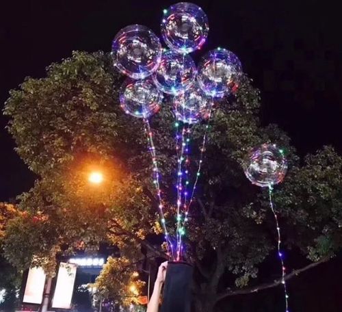 반딧 이미지