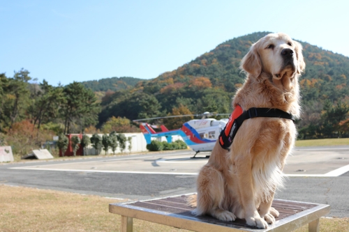 천둥 사진 2