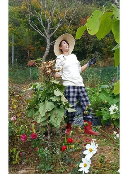 마야 이미지