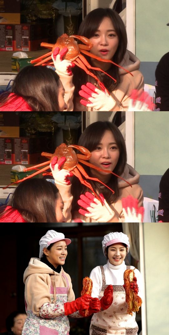백년대게 이미지