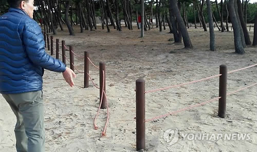 송림연합의원 이미지