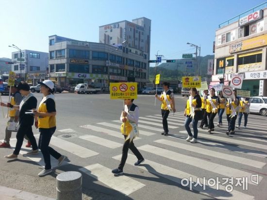 진도담배 이미지