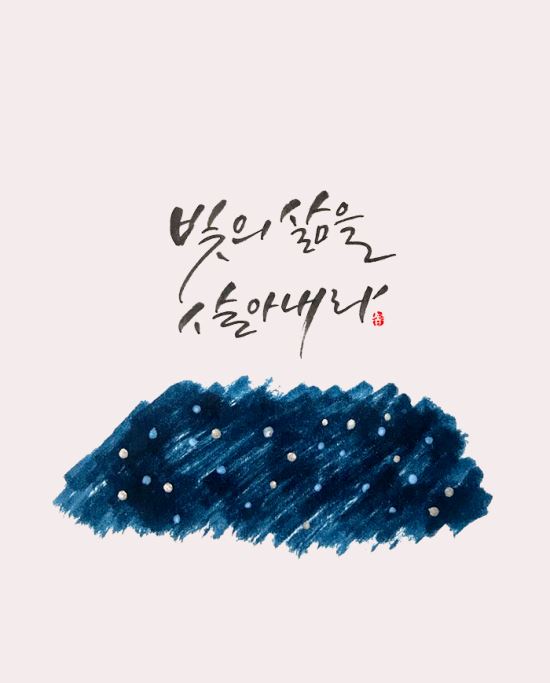 빛의하루 이미지