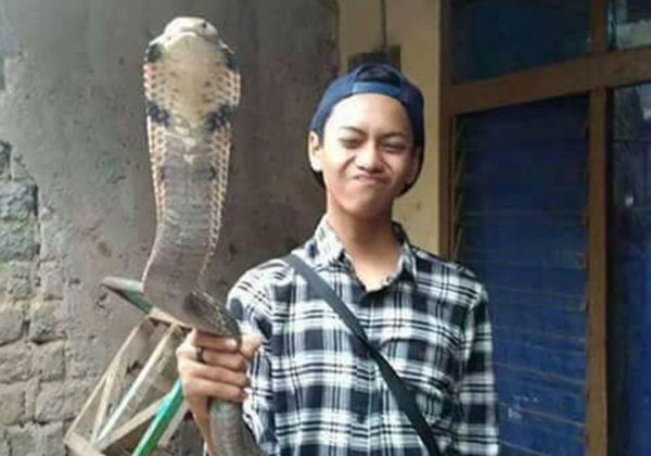 WhatsApp, Aisa Wire - 인도네시아 자와바랏 주 반둥에 사는 14살 소년 아릴(Aril)과 그의 애완 코브라.