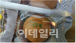 법인늘푸른농장 이미지