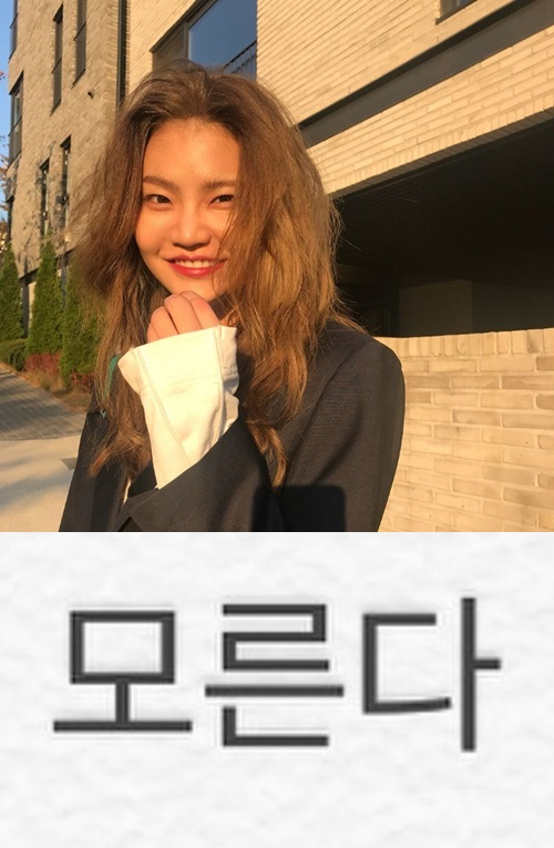 안나안다 이미지