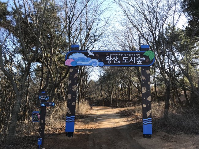 전라남도 유아숲체험원 이미지