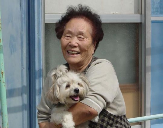 당진직업소개소 이미지