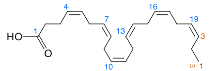 대표적인 오메가3 지방산인 DHA의 분자구조다. DHA는 탄소 22개로 이루어진 선형분자로 이중결합이 여섯 개 있어 구조가 유연하다. - 위키피디아 제공