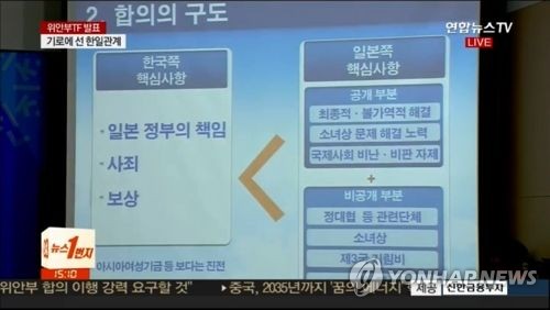 위안부합의 검토TF "합의에 비공개 부분 존재" [연합뉴스TV 제공]