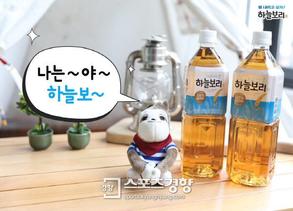 웅진장식 이미지