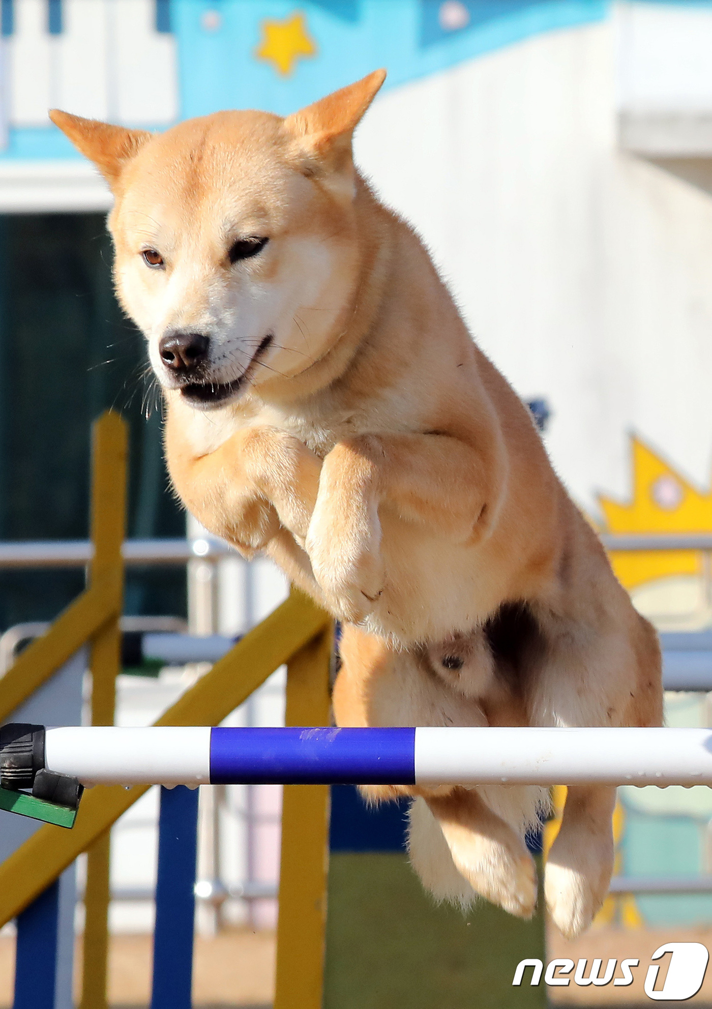 우리네축산 이미지