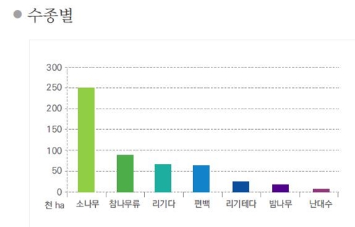 소나무 참나무 숲 이미지