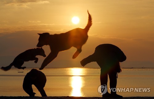 황금축산 이미지