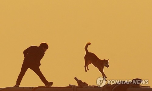황금축산 이미지