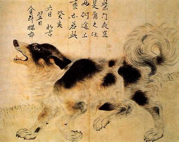 조선시대 화가 김두량이 그린 바둑이. 단모종 삽살개와 유사하다.