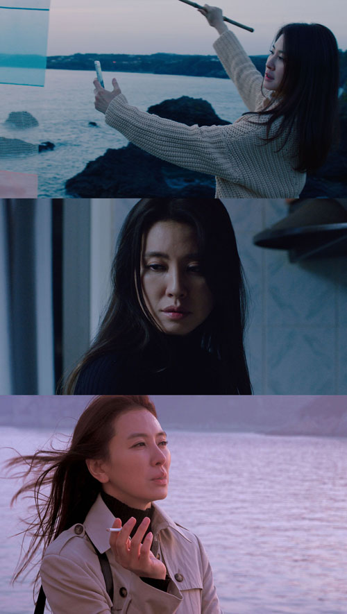 천화 이미지