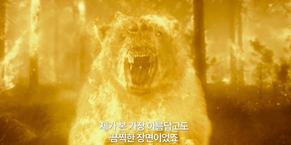 온리 이미지